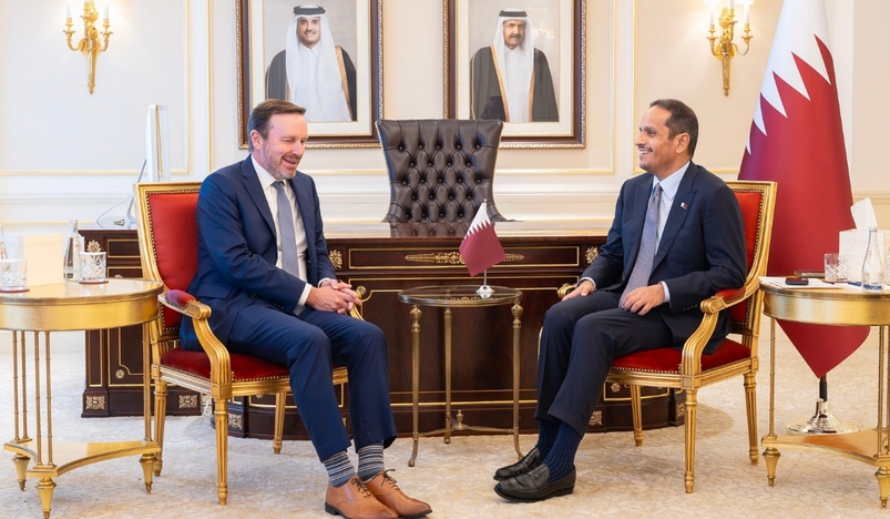 Prime Minister and Minister of Foreign Affairs Meets US Senate Member